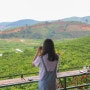 베트남 여행지 추천 달랏 5월 6월 직항 날씨 옷차림