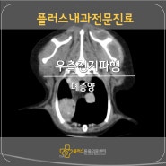 [대구24시동물병원] 우측전지파행 - 폐종양