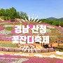 경남산청 가볼만한곳 생초국제조각공원 꽃잔디축제