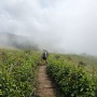 치앙마이여행 도이인타논(Doi intanon) 국립공원 깨우매판 트래킹(kewmaepan hiking) 솔직후기(+비용,일정,예약,준비물)
