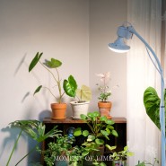 식물생장등 마녀박스 LED 식물등 스탠드