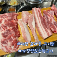 대전 갈마동 고기집 가장맛있는 뒷고기 한라산한판 내돈내산