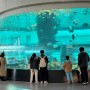 부산 영도 국립해양박물관 무료로 즐기는 아쿠아리움 (ft. 식당)