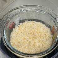 ‘중기 이유식’ 베이비무브 이용 쌀미음 큐브, 현미 큐브 만들기(5배죽) 토핑 이유식 | (불린쌀, 불린 현미 기준)