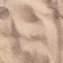 육지거북이바닥재바닥재 모래 코코넛 섬유 나무껍질 나무 조각 파충류 카펫 상업용 바닥재 거북이 육지거북 선택 장단점 탈수증 진드기 기타 해충 굴 파기 청결 편안함 안전 파충류 전문가