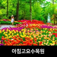 가평 아침고요수목원 가평 볼거리 5월 국내여행지 추천 서울근교 수목원