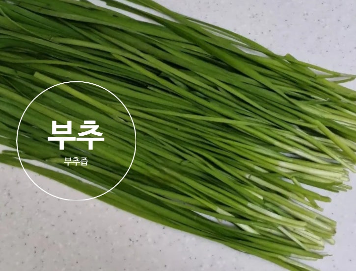 부추즙 부추 효능 : 네이버 블로그