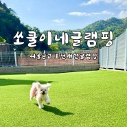 쏘쿨이네글램핑 :: 애견동반 국내여행 서울근교 포천애견글램핑
