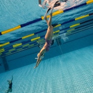 프리다이빙 시작❣️- 고고다이브 초급 1강 내돈내산 후기(올림픽수영장 잠수풀)
