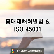 ISO45001 중대재해처벌법 50인 미만 사업장 확대 준비에 따른 인증은 필수