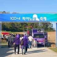 전남 가볼만한곳 자은 1004 신안 피아노섬 축제 세계 김밥페스타 관람꿀팁 푸드코트 캠핑장