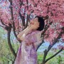 완주 대아수목원, 전북 여행 가볼만한곳 튤립과 예쁜 꽃나무들