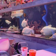 스타필드 고양 물고기 카페 3층 매직플로우