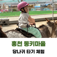 홍천 동키마을 비누 만들기 당나기 타기 아기랑 대성공