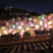 별빛야행 군포 철쭉축제 철쭉동산 야간데이트 장소