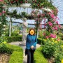 고양국제꽃박람회 기간 장미정원, 튤립이 멋있는 일산호수공원 꽃의 향연