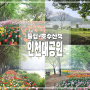인천 대공원 튤립 꽃구경과 아침 호수 산책