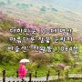 비슬산 천왕봉등산코스 참꽃군락지 진달래 축제