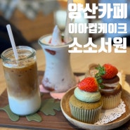 양산 카페, 이아컵케이크랑 소소서원 일타이피