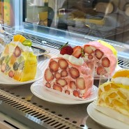 창원 마산 과일폭탄 롤 크레이프 케이크 맛집 노이꽁뜨