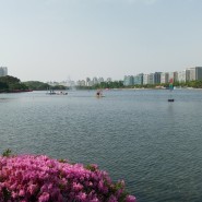 운정 중흥 에듀하이 44평형 주방 업그레이드한 집, 일산호수공원 꽃박람회 소개합니다