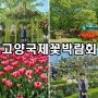 경기도 고양 꽃박람회 주차 입장료 예매 다녀온 후기 총정리 데이트 코스
