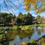 올해만 세번째 TOKYO 여행기 4일차-긴자 여기저기 구경/히비야 공원