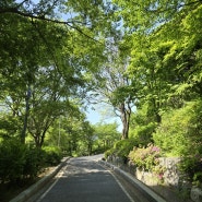 [서울여행]서울 종로구 날씨좋은 요즘 산책하기 좋은 낙산공원🌳