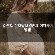 광주 출산 후 산후탈모 원인과 헤어케어방법
