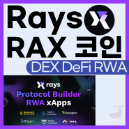RaysX RAX 코인 차세대 RWA, DEX, DeFi 플랫폼 소개 및 런치패드 호재