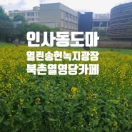 인사동 도마, 열린송현녹지광장, 북촌 월영당카페