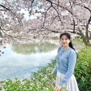 벚꽃 천국이 있다면 여기야♥ 김천 연화지 벚꽃놀이 (24.04.05)