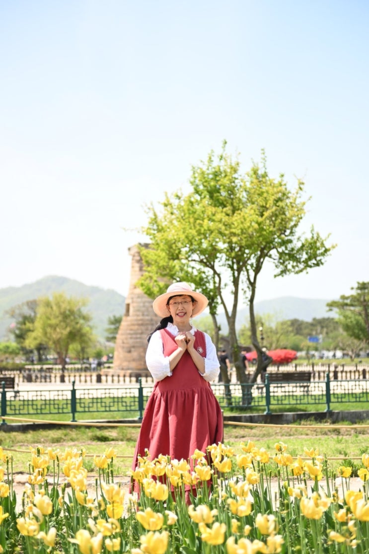 경주 첨성대 주변