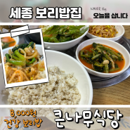 세종 대평시장 맛집, 큰나무식당 다녀왔어요