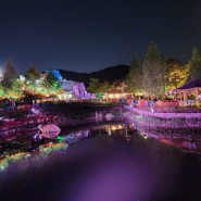 김해 가야테마파크 빛축제 야간개장 주말 나들이