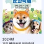 [제주축제] 2024 제주반려동물문화축제