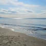 [일본,가마쿠라] 아름다운 해변을 찾는다면 "시치리가하마 해변" 추천