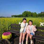 [축제] 4월에 가볼만한 곳으로 부여 세도면 유채꽃&방울토마토축제