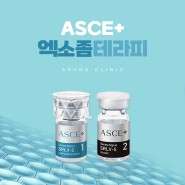 서면스킨부스터 ASCE+ 엑소좀 피부 건강 솔루션