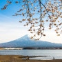 일본 시즈오카 야마나시 렌트 자유여행 / 가와구치코 (Lake Kawaguchi) / 츠와노