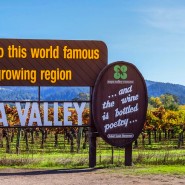 와인계 신흥강자 가성비 높은 캘리포니아 와인 나파 밸리 01
