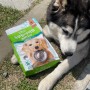 강아지 유산균 사료 풀무원 아미오 '시원하개': 튼튼한 장 건강 사료