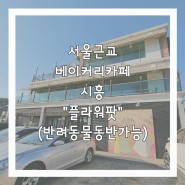 서울근교 시흥 물왕저수지 베이커리 카페 "플라워팟"(반려동물동반가능)