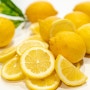 레몬트리 lemon tree 가사 듣기 (박혜경 노래)가사첨부 / 감상하세요