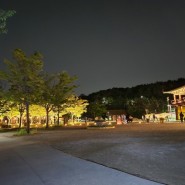 경남김해축제 가야테마파크 야간개장 빛축제