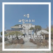 시흥 과림저수지 브런치카페 "쩜쩜쩜"(주차,반려동물동반가능)