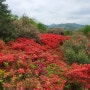 전주 어린이날 가볼만한곳 코스 완산칠봉꽃동산 카페 삼천빌리지