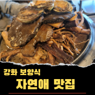 🌿[자연애]🍃 강화맛집 보양식💪 내돈내먹