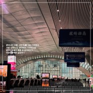 중국샤먼 여행, 샤먼역(厦门站) 기차탑승, 샤먼-심천노선, 중국에서 기차타는법, 중국고속열차 종류 및 좌석배치도, 여권이용하여 검표하기