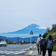 도쿄 하코네 여행 5월 6월 날씨 프라이빗 숙소 료칸 경험담